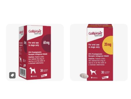 GALLIPRANT 20 MG | 60 MG