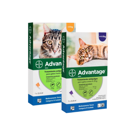 ADVANTAGE GATOS