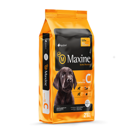 MAXINE CACHORRO 21 KG