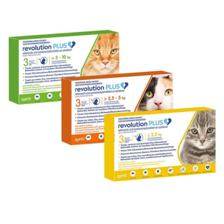 REVOLUTION PLUS GATOS