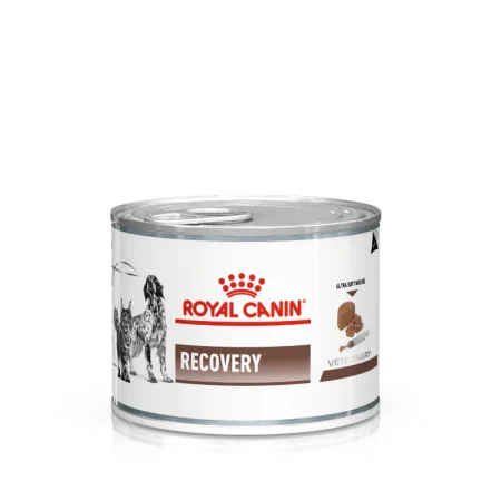 ROYAL CANIN RECOVERY LATA