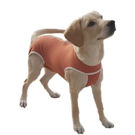 KIMBA - BODY COBRE MACHO