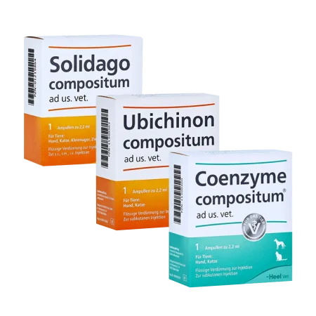TERAPIA SUC