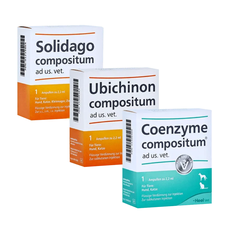 TERAPIA SUC