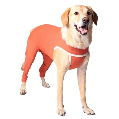 BODY COBRE PATAS TRASERAS