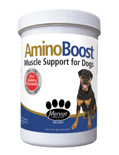 AMINO BOOST DG 100 GR