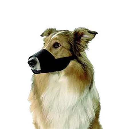 BOZAL BUSTER