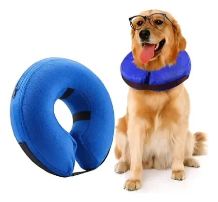 COLLAR ISABELINO INFLABLE VET WORTHY